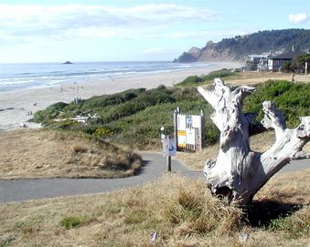 Enlarge photo 119