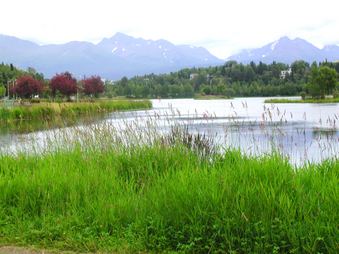 Enlarge photo 29