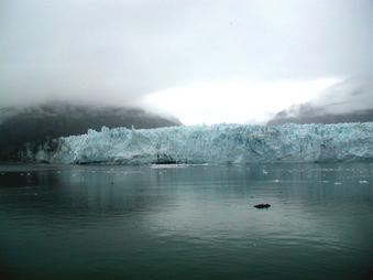 Enlarge photo 74