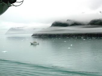 Enlarge photo 72