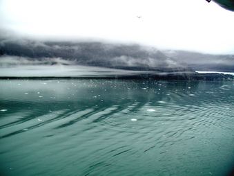 Enlarge photo 69