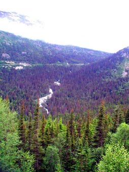 Enlarge photo 82