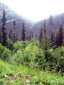 Enlarge photo 86