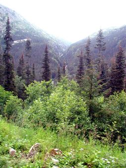 Enlarge photo 80