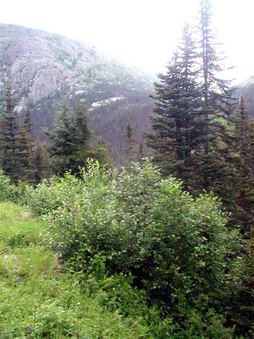 Enlarge photo 81