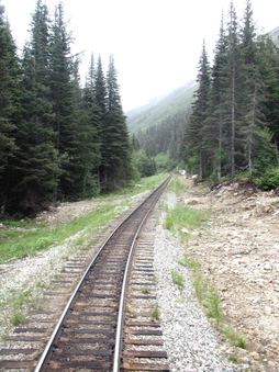 Enlarge photo 85