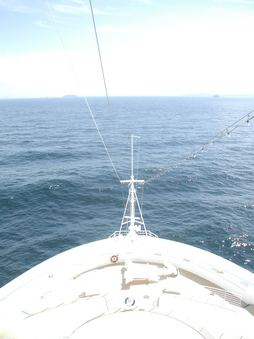 Enlarge photo 40