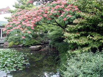 Enlarge photo 109
