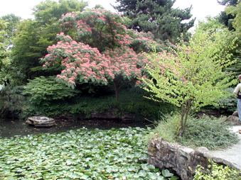 Enlarge photo 110