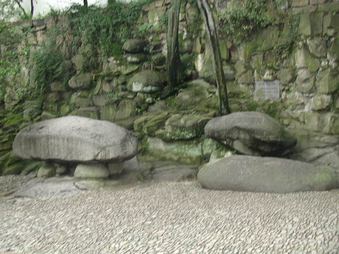 Enlarge photo 59