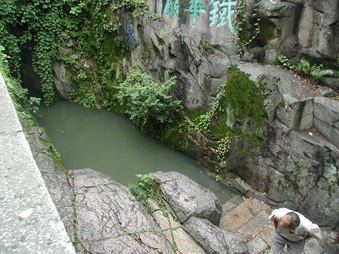 Enlarge photo 63