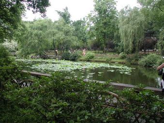 Enlarge photo 79