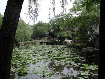Enlarge photo 40