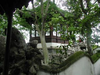 Enlarge photo 46
