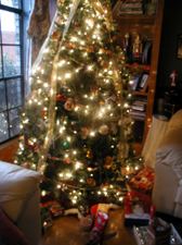 Enlarge photo 15