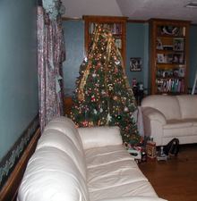Enlarge photo 13