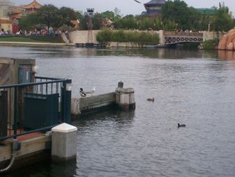 Enlarge photo 93