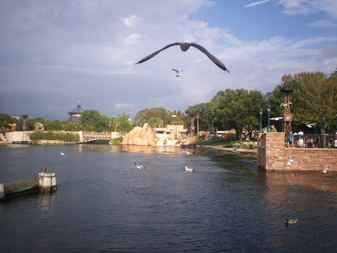 Enlarge photo 94