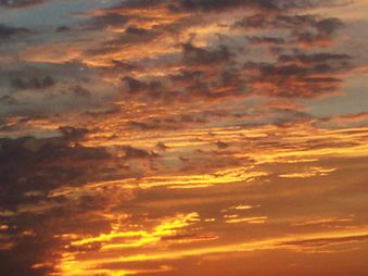 Enlarge photo 102