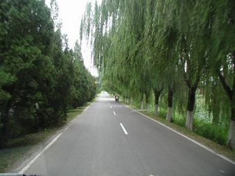 Enlarge photo 5