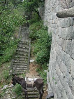 Enlarge photo 39