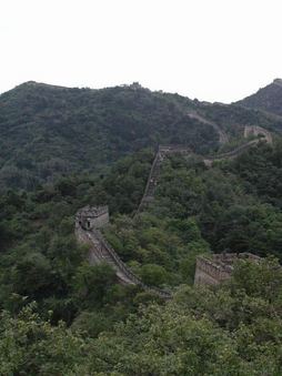 Enlarge photo 45