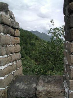Enlarge photo 57