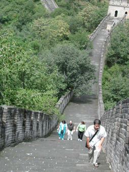 Enlarge photo 61
