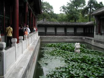 Enlarge photo 114