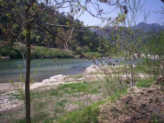 Enlarge photo 83