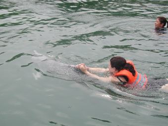 Enlarge photo 42