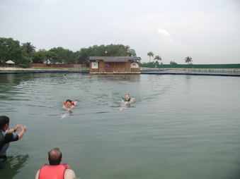 Enlarge photo 53