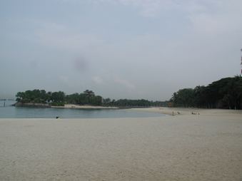 Enlarge photo 65