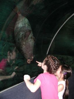 Enlarge photo 30