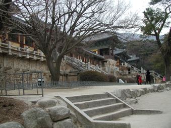 Enlarge photo 247