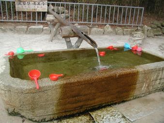 Enlarge photo 255