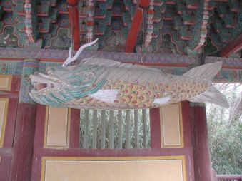 Enlarge photo 257