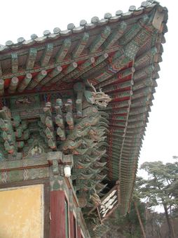 Enlarge photo 268