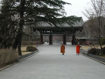 Enlarge photo 291