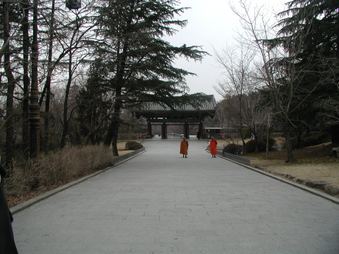 Enlarge photo 292