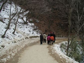 Enlarge photo 307