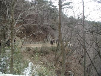 Enlarge photo 309