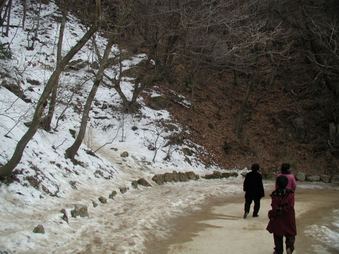 Enlarge photo 310