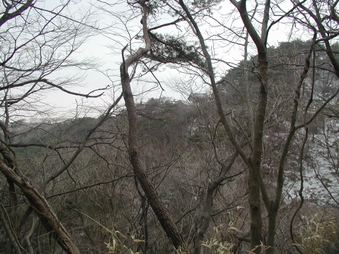 Enlarge photo 313