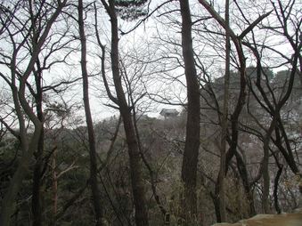 Enlarge photo 314