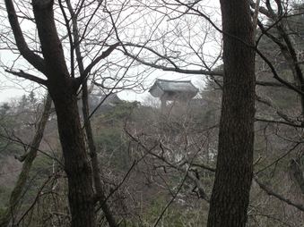 Enlarge photo 315