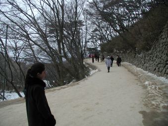 Enlarge photo 219