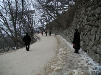 Enlarge photo 220