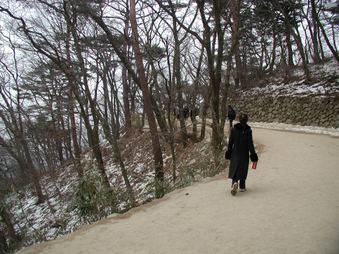 Enlarge photo 221