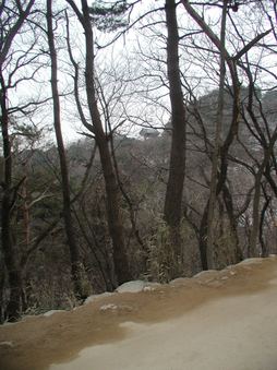 Enlarge photo 222